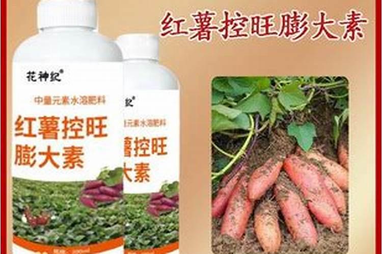 樱桃苗木的施肥追肥注意事项