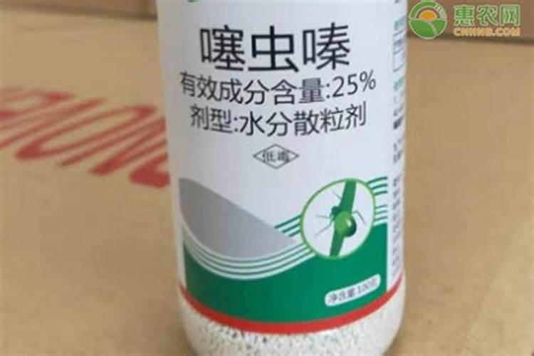 什么时候给杜鹃花喷叶面肥合适？