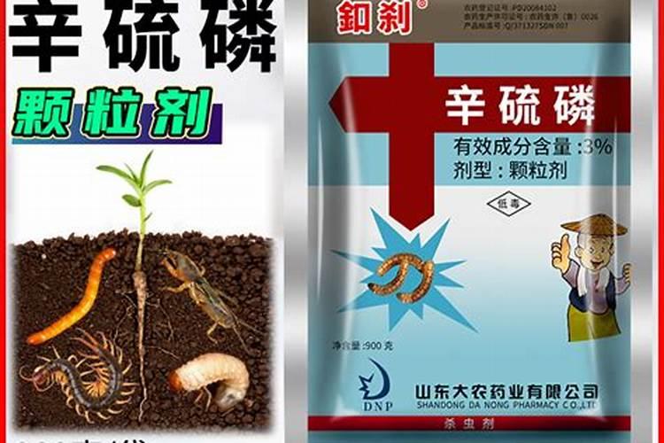 杜鹃花叶面施肥磷酸二氢钾多长时间施一次？