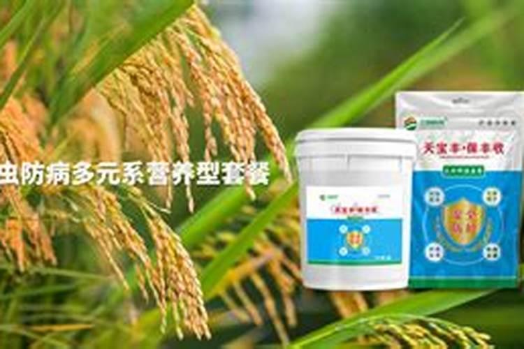 云南省都用哪些尿素品牌？近期价格如何？