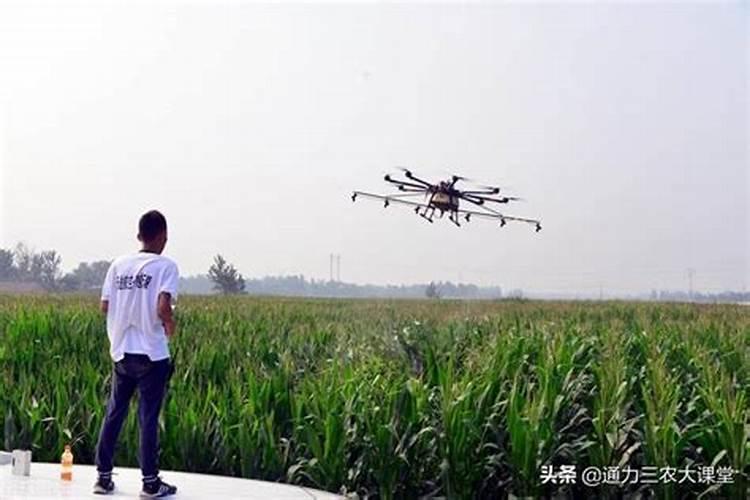 百香果能用磷酸二氢钾喷吗