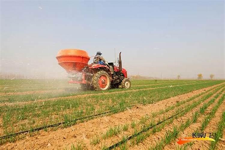 种小麦上肥料只用磷肥和钾肥可以吗？