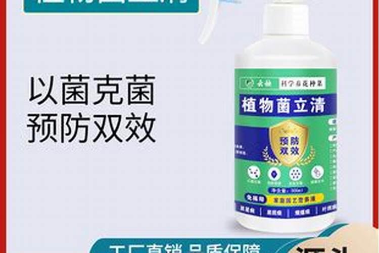 玫瑰花施用复合肥中的钾肥应用氯化钾还是硫酸钾？