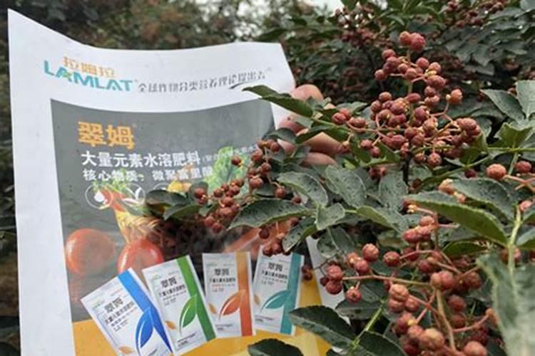 含硫氮肥对作物起什么作用