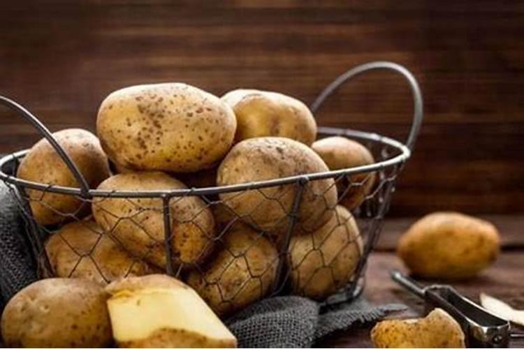 罗汉果苗淋硫酸钾起到什么作用