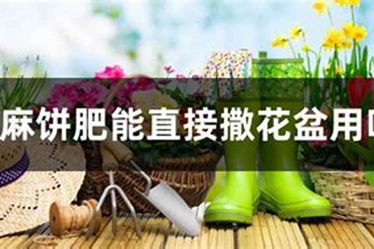 硼肥对红薯有什么作用 最佳使用时间