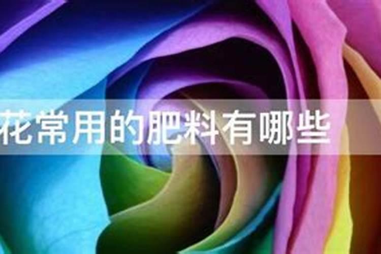 大棚辣椒如何管理 辣椒为养殖注意事项总结