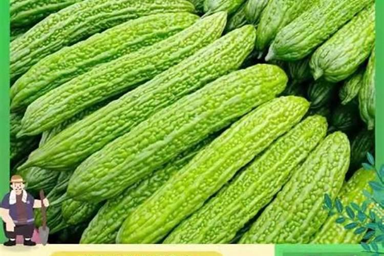 ...有花而是长满无数嫩叶,玉米不能结穗这是什么原因？？？