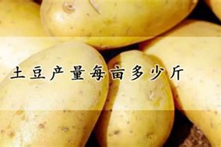 什么是磷肥和钾肥