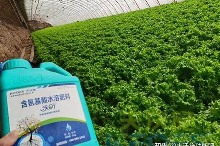 大棚底肥一般用什么肥料？