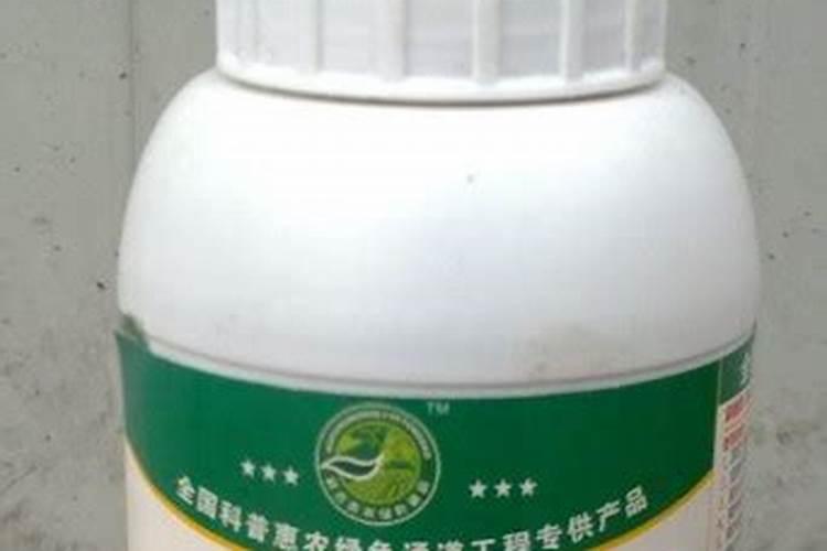 油茶树用什么肥料比较好