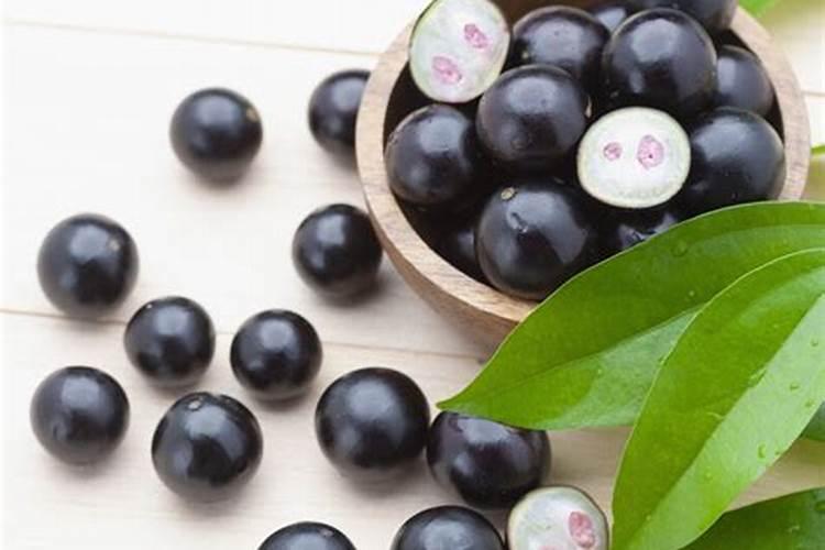 嘉宝果如何施肥