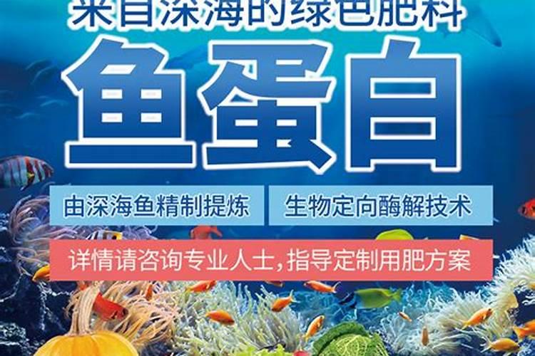 小麦叶面肥与氨基酸叶面肥好还是多肽鱼蛋白好