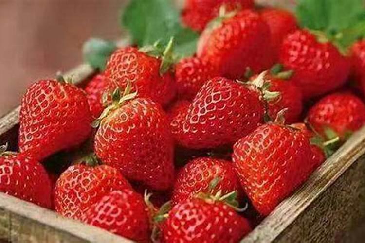 微量元素肥料有哪些 微量元素肥料有什么作用