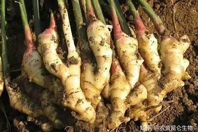 氯化钾怎么兑水