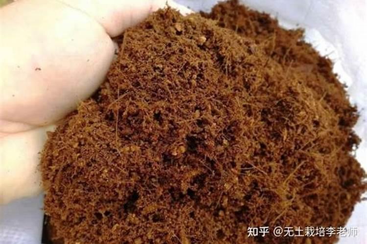 椰砖土种花怎么样？用过的朋友说一说吧
