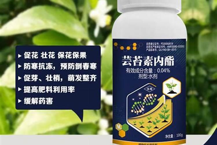 芸苔素内酯如何兑水