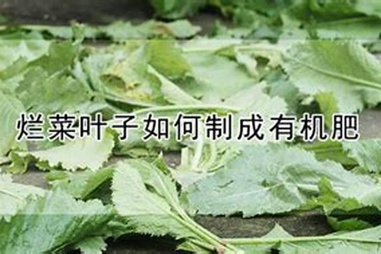 叶面肥的种类和作用