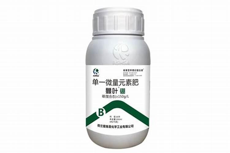 新买一盘盆景,我看露着的土太难看啦,请问各位大神怎么装饰一下好呢...