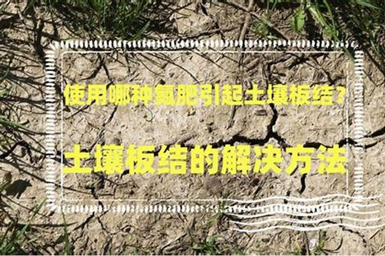 芦荟可以用有花生皮的土种植吗 种芦荟的花生壳如何处理