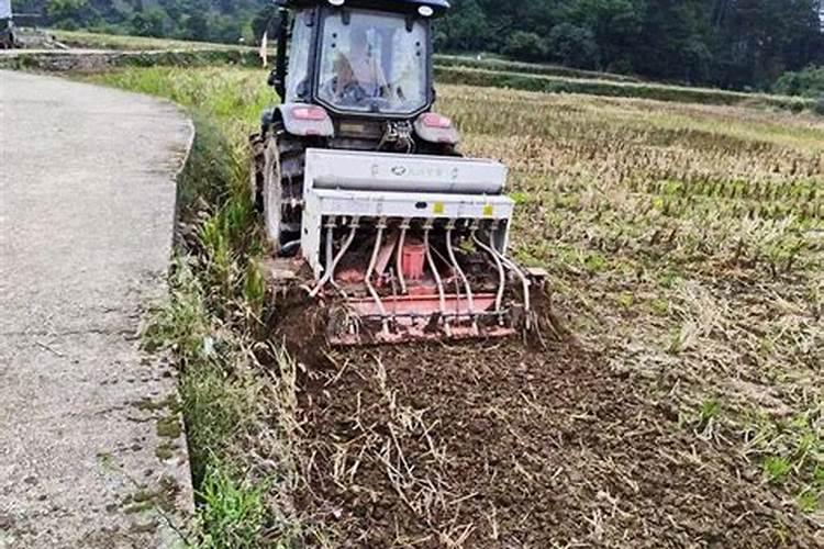 小麦要打几次农药