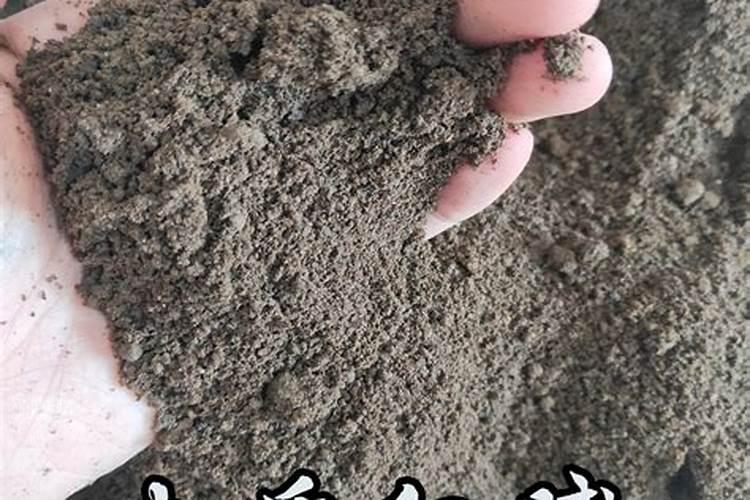 芸苔素内酯作用于小麦有什么功能和技术？