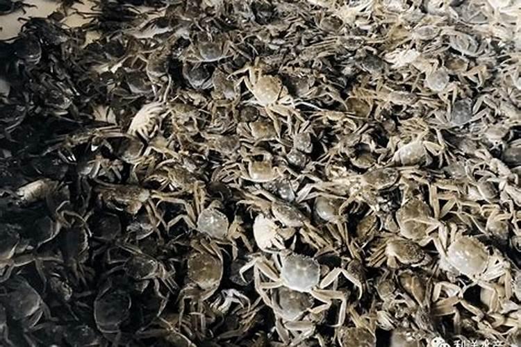 氧化钾是碱性氧化物吗