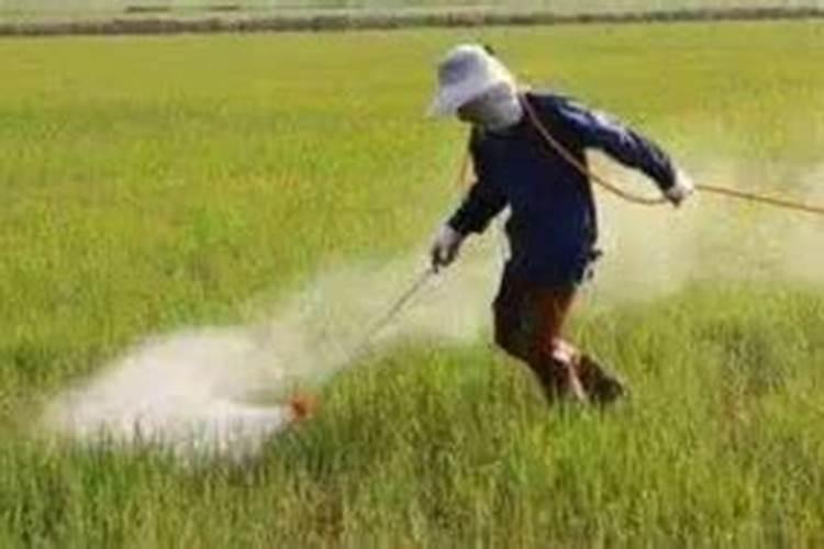 ...加拿大进口克菌铜能和叶面肥农药混合吗？打柑橘溃疡效果如何百度...