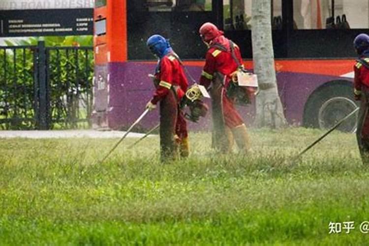 基质土和营养土的区别