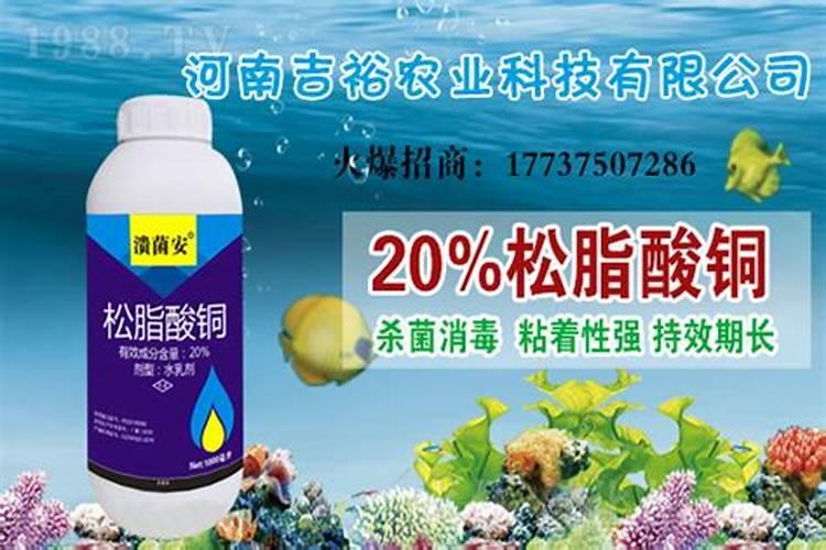 硅肥是什么肥料？硅肥有什么作用？种植农作物如何施用硅肥？
