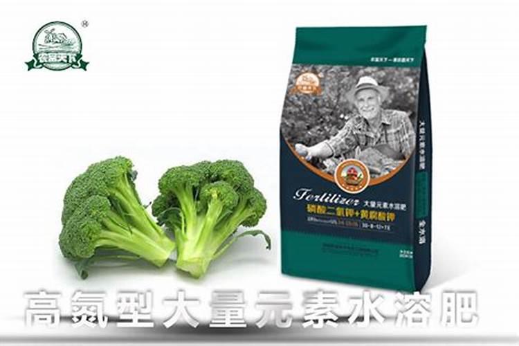 水稻细条病的特效药