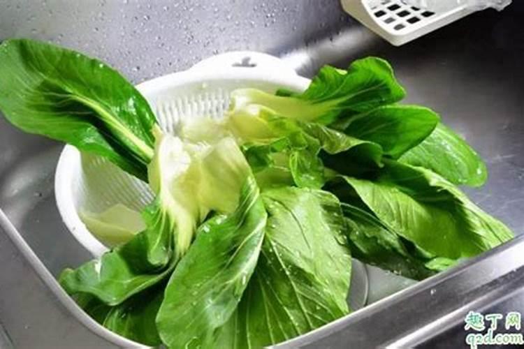 氮肥可以上哪些植物