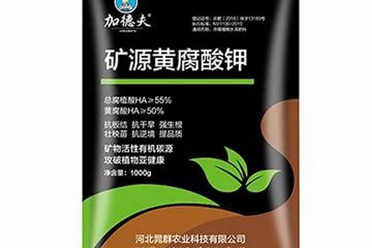 玉米苗打叶面肥大雨前打好还是雨后打好？