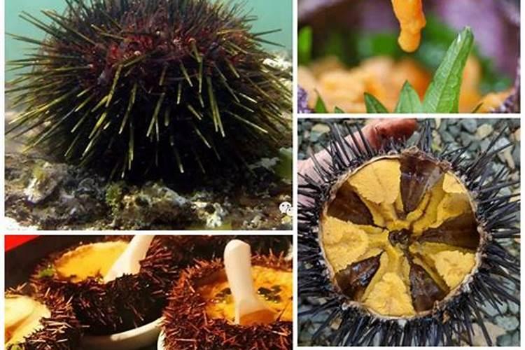 小雨可以撒施冲施肥吗