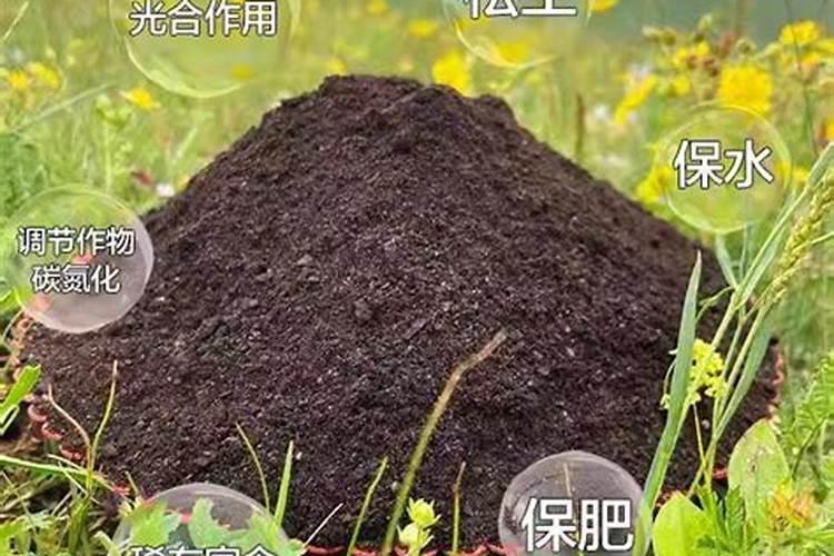 怎么配置比较好的疏松营养土