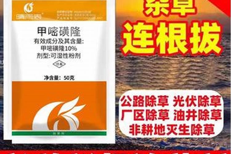 番茄打什么药好