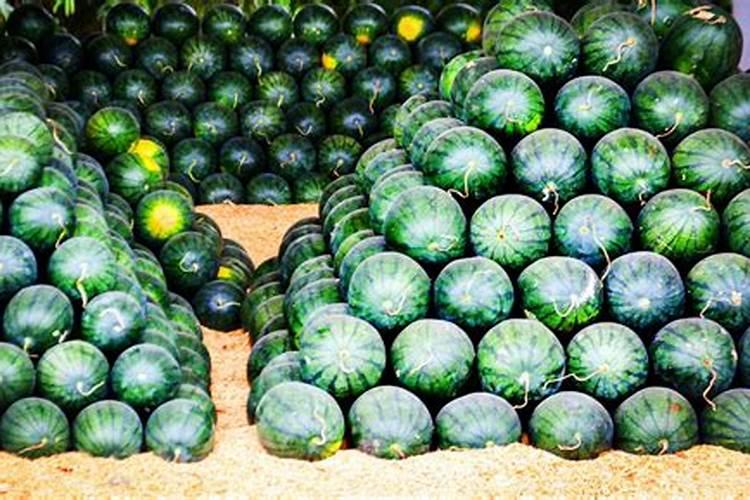 露天西瓜坐果后丝多少斤肥合理？