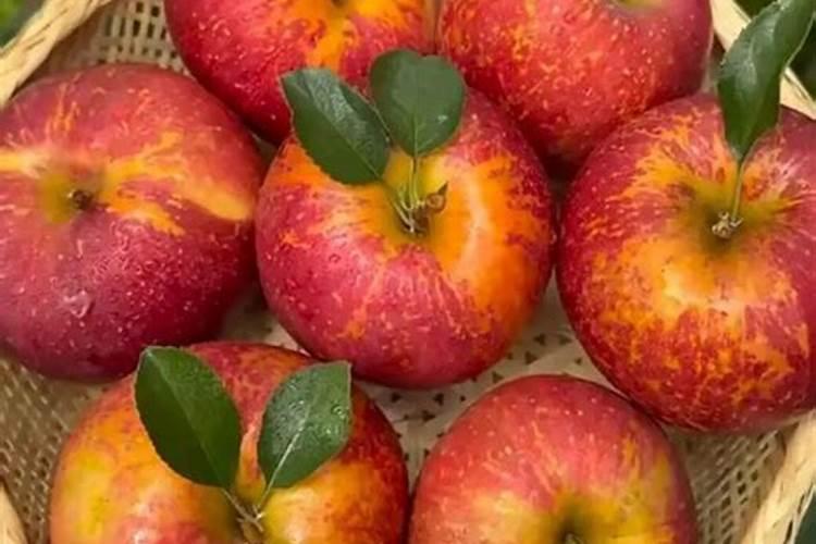 叶面肥和农药可以混在一起使用吗 常用叶面肥与农药混用先后顺序百度...