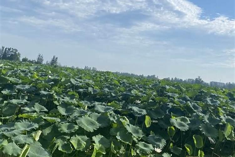 哪些物品含有甲醛