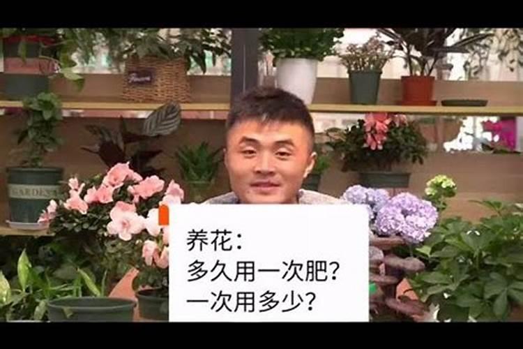 玉兰树的种植方法