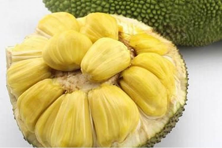 种菠萝蜜施什么肥