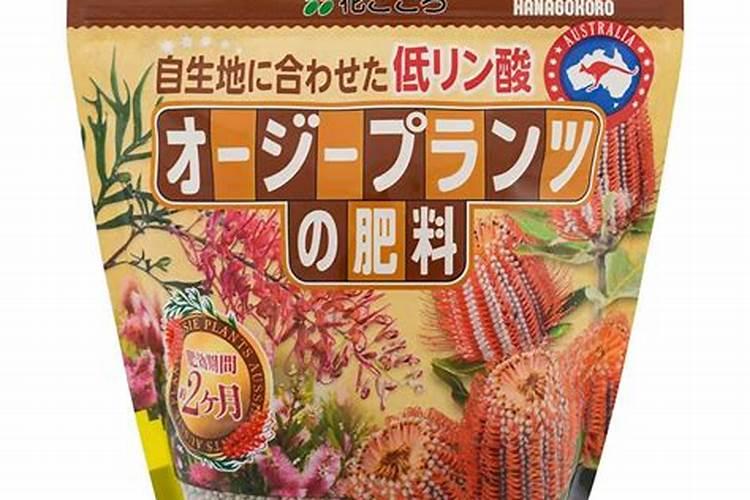 桉树生长速度快慢 一年能长多少