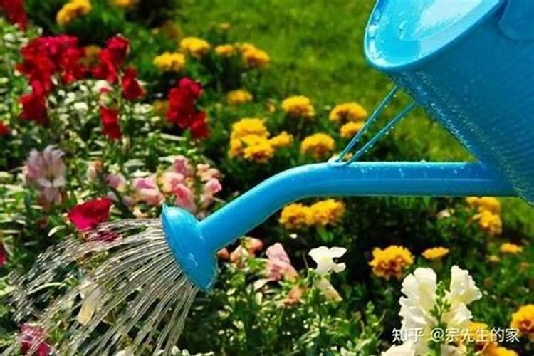 氮肥可以兑水浇花吗