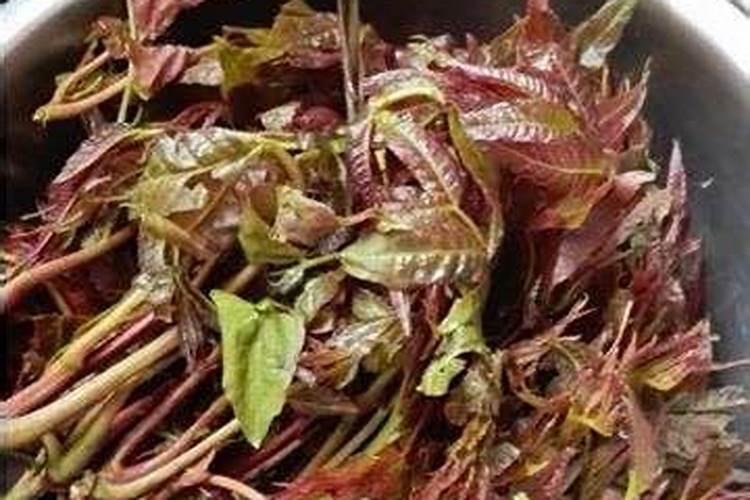 葡萄肥镁肥害了怎么办