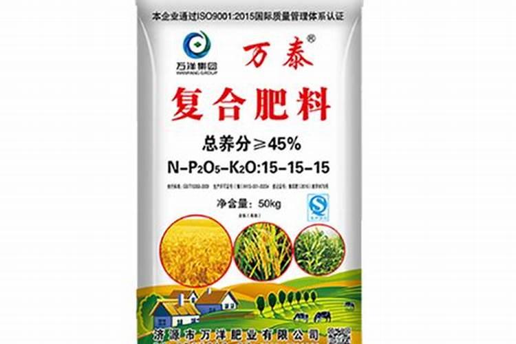 三角梅怎栽活