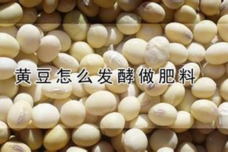 豆肥快速发酵方法