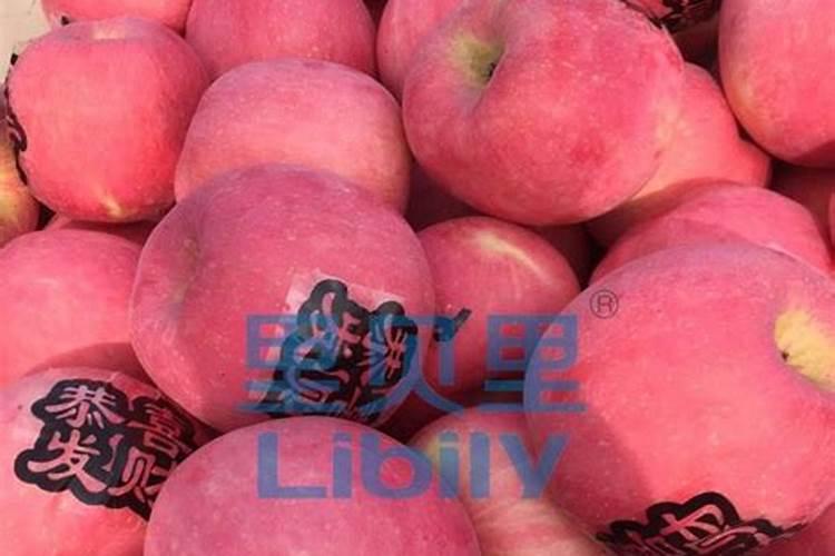 什么肥料磷肥含量高