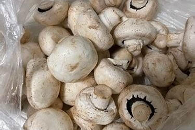 大豆什么时候喷钼肥好 使用方法有哪些