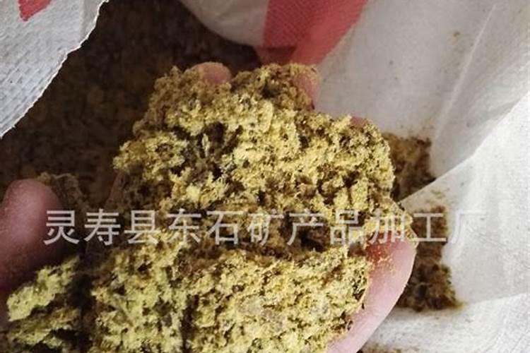 草莓苗小苗弱长出的走茎要掐掉吗？