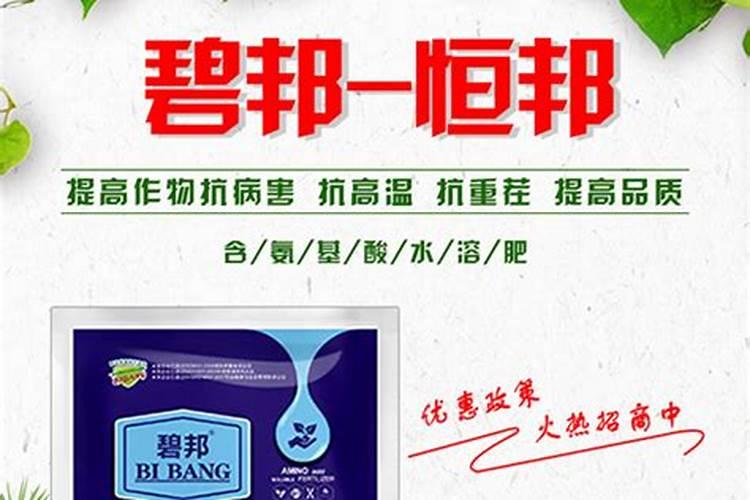 氨基酸水溶肥叶面喷施的效果
